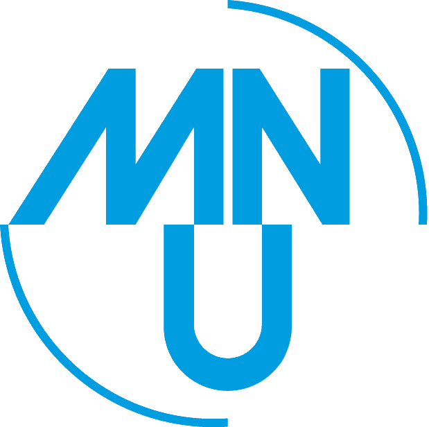 Logo von MNU Physikwettbewerb
